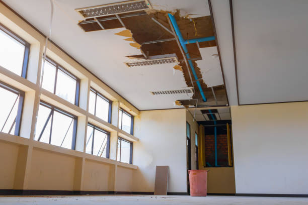 Best Professional water damage repair  in Beckett Ridge, OH