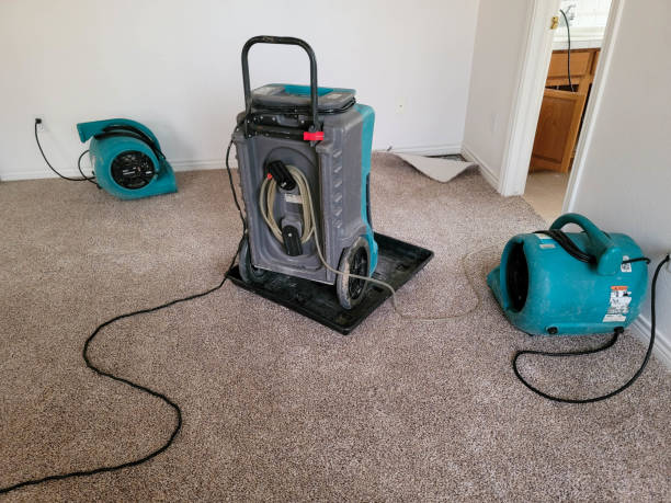 Best Water damage restoration process  in Beckett Ridge, OH