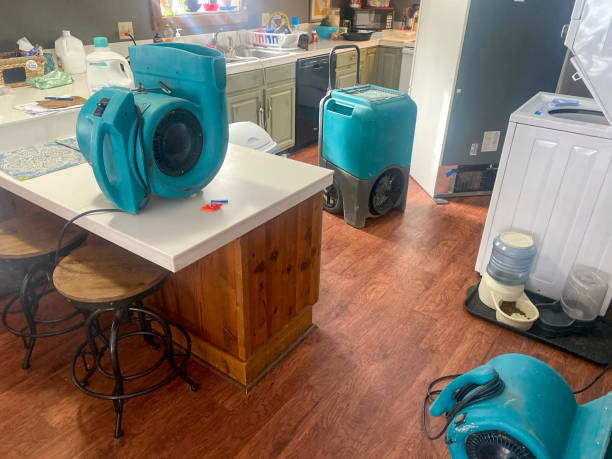 Best Water damage restoration cost  in Beckett Ridge, OH