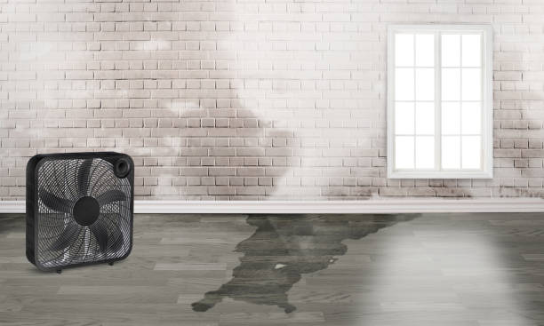 Best Ceiling water damage repair  in Beckett Ridge, OH