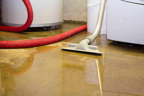 Best Mold removal after water damage  in Beckett Ridge, OH