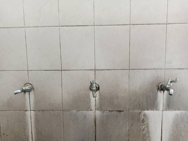 Best Sewage cleanup and water damage restoration  in Beckett Ridge, OH