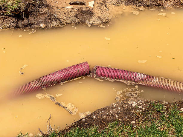 Best Water damage cleanup near me  in Beckett Ridge, OH